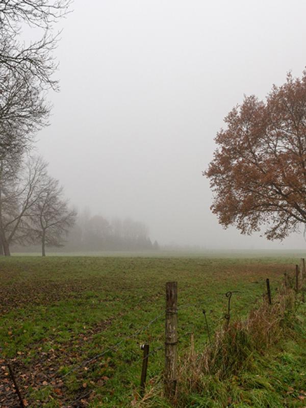 Brouillard - Marc Zommer Photographies 