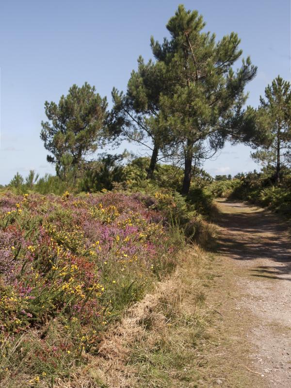 Côte d'Armor  - Marc Zommer Photographies