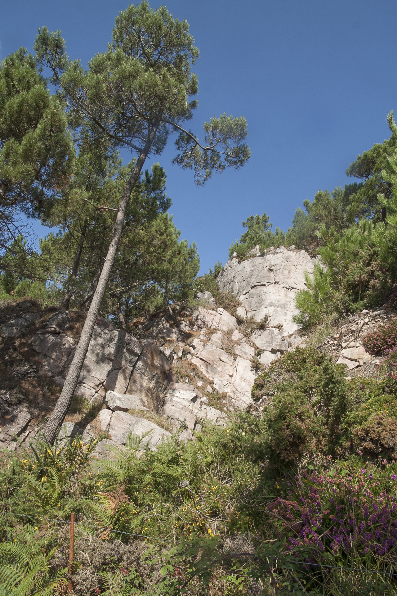 Côte d'Armor  - Marc Zommer Photographies