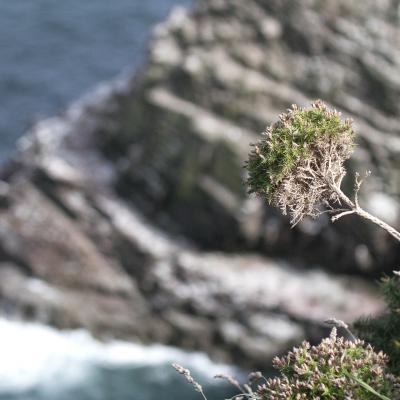 Côte d'Armor  - Marc Zommer Photographies