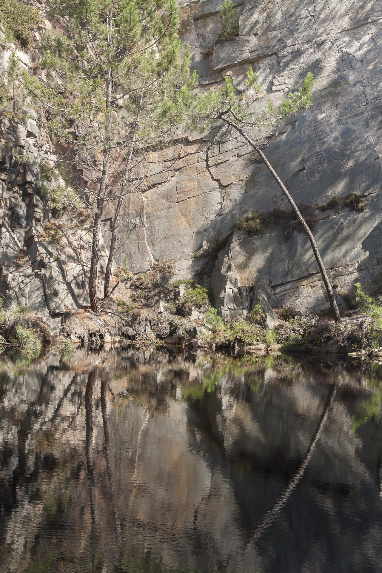 Côte d'Armor  - Marc Zommer Photographies