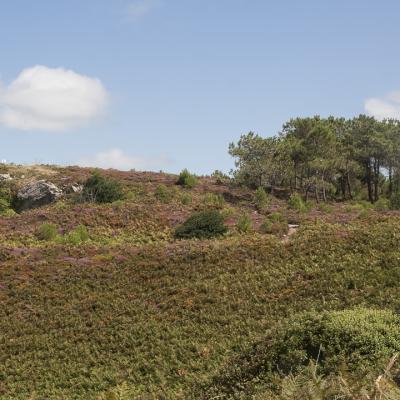 Côte d'Armor  - Marc Zommer Photographies