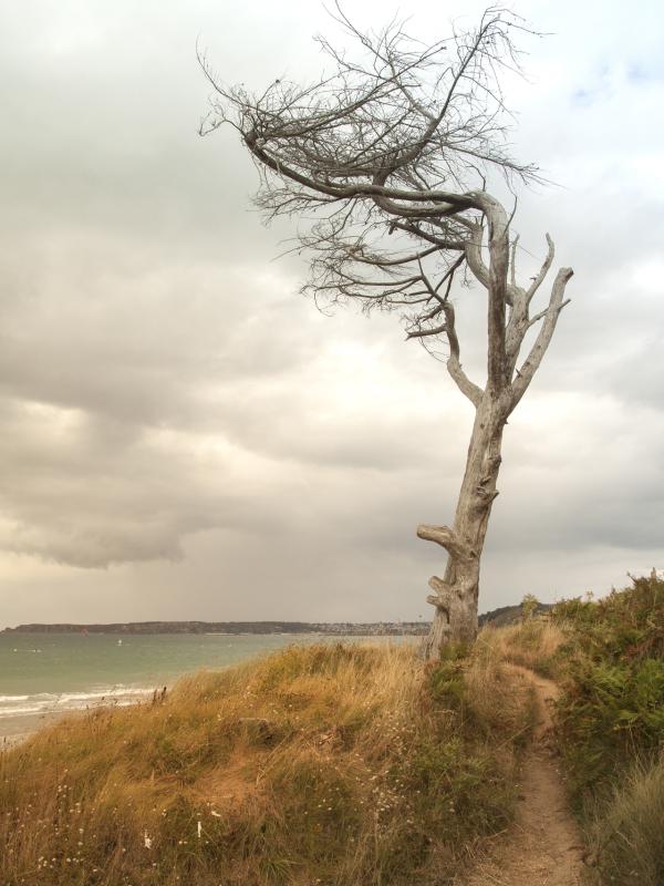 Côte d'Armor - Marc Zommer Photographies