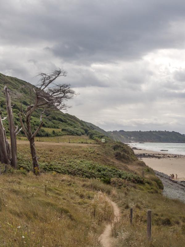 Côte d'Armor - Marc Zommer Photographies