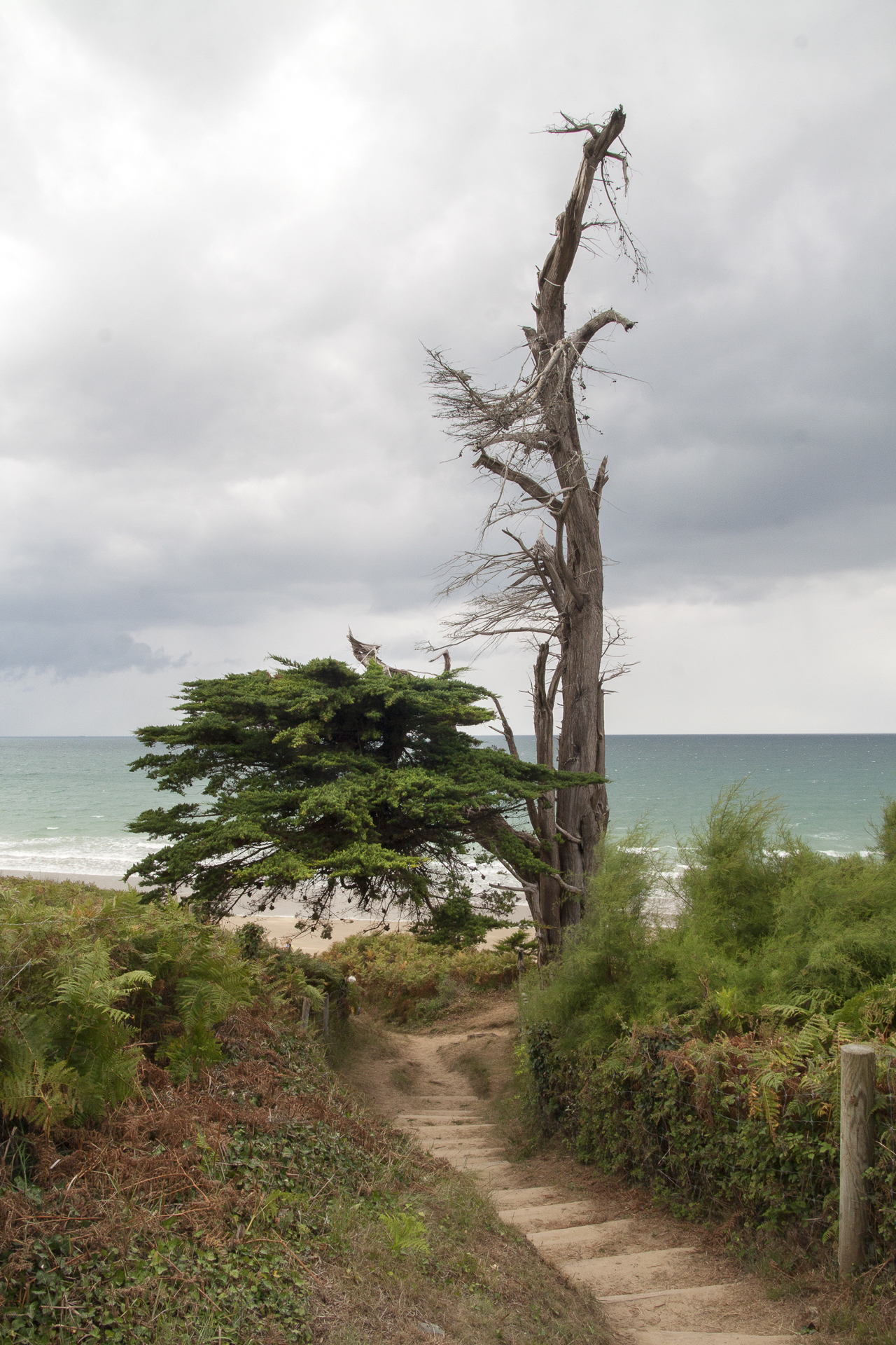 Côte d'Armor - Marc Zommer Photographies