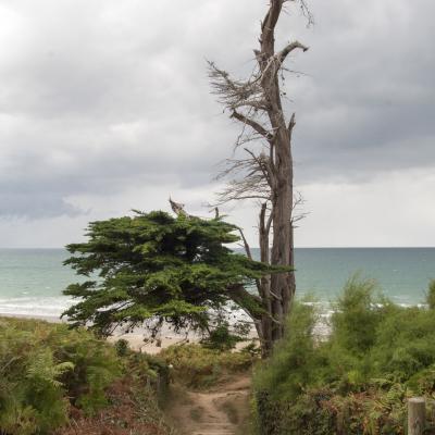 Côte d'Armor - Marc Zommer Photographies