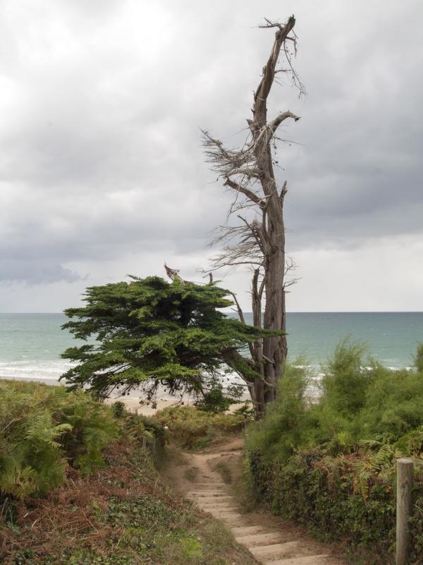 Côte d'Armor - Marc Zommer Photographies