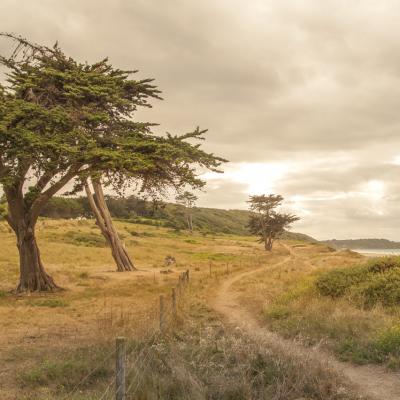 Côte d'Armor - Marc Zommer Photographies