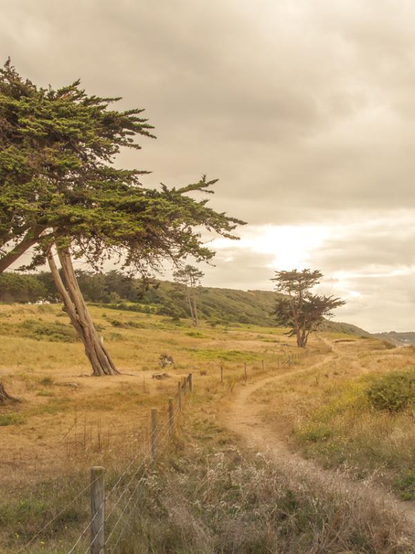 Côte d'Armor - Marc Zommer Photographies