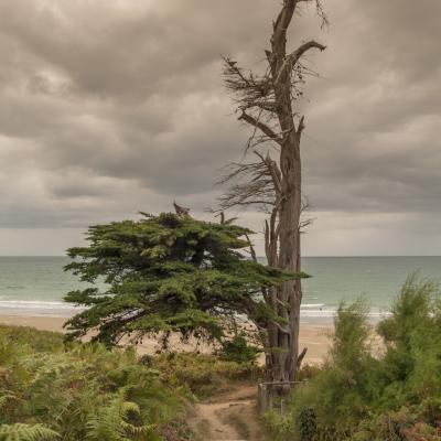 Côte d'Armor - Marc Zommer Photographies