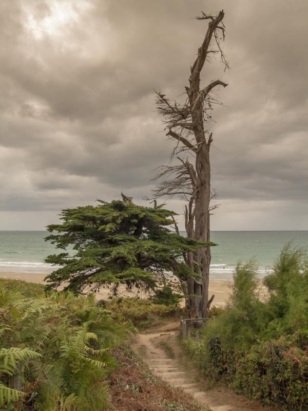 Côte d'Armor - Marc Zommer Photographies