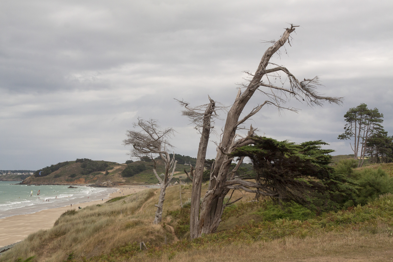 Côte d'Armor - Marc Zommer Photographies