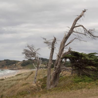 Côte d'Armor - Marc Zommer Photographies