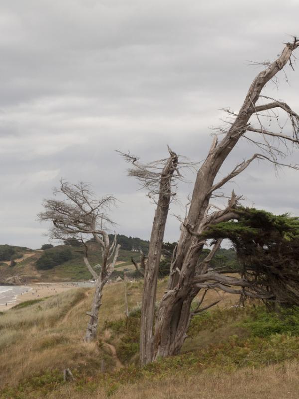 Côte d'Armor - Marc Zommer Photographies
