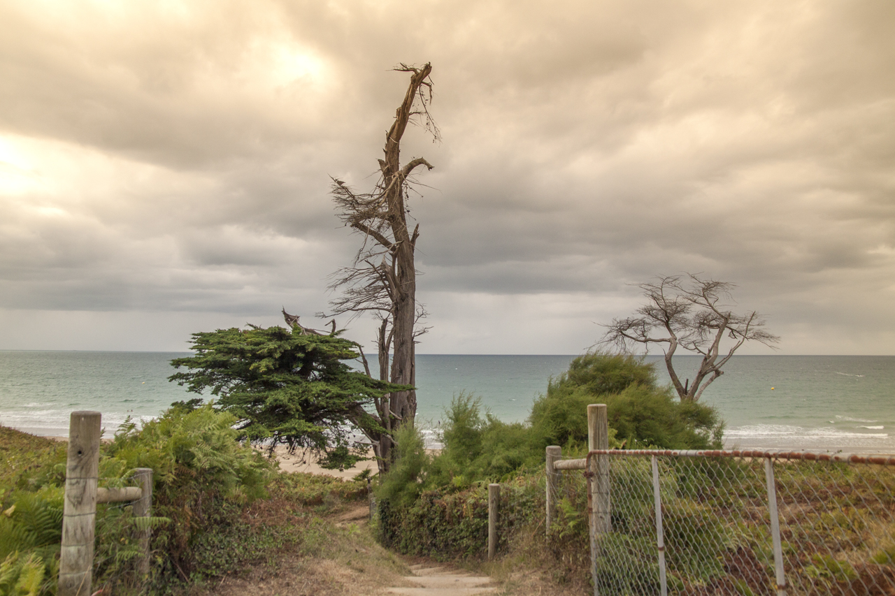 Côte d'Armor - Marc Zommer Photographies