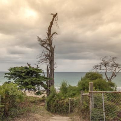 Côte d'Armor - Marc Zommer Photographies