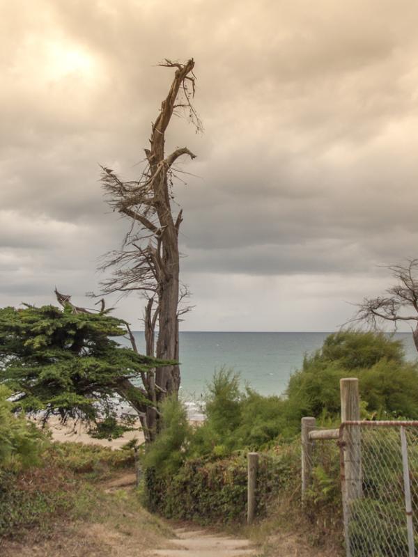 Côte d'Armor - Marc Zommer Photographies