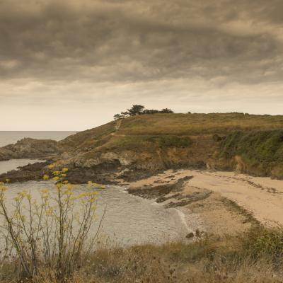 Côte d'Armor - Marc Zommer Photographies