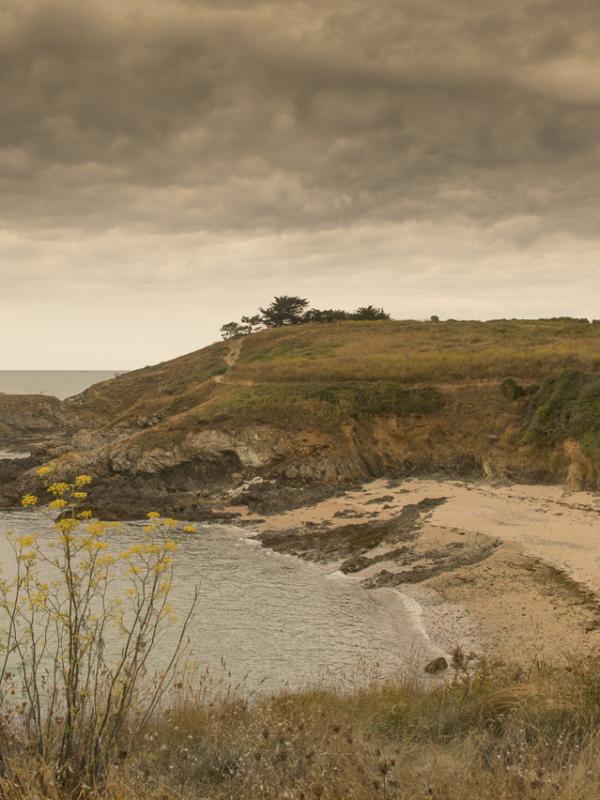 Côte d'Armor - Marc Zommer Photographies