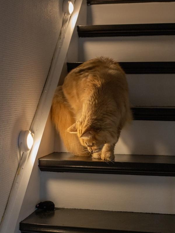 Marc Zommer  photographies 