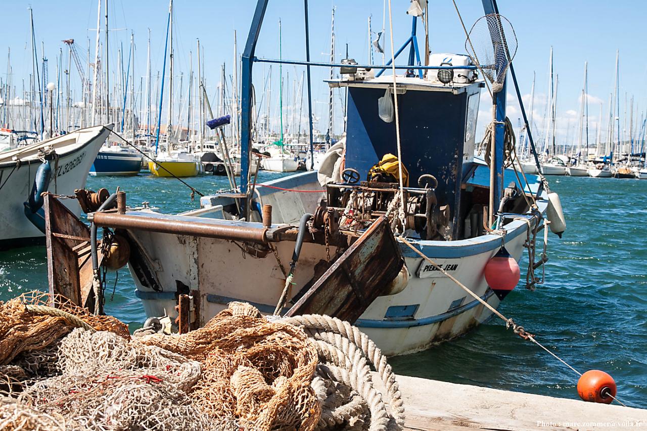 La rade de Toulon