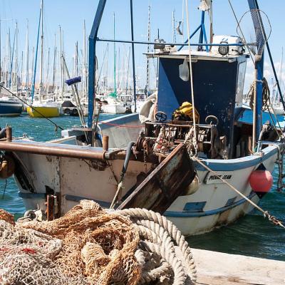 La rade de Toulon