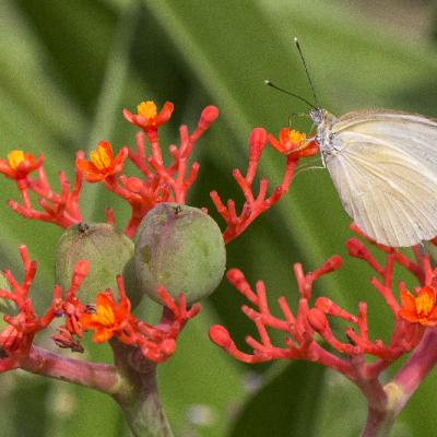 Nature - Marc Zommer Photographies 