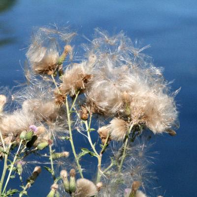 Nature - Marc Zommer Photographies 