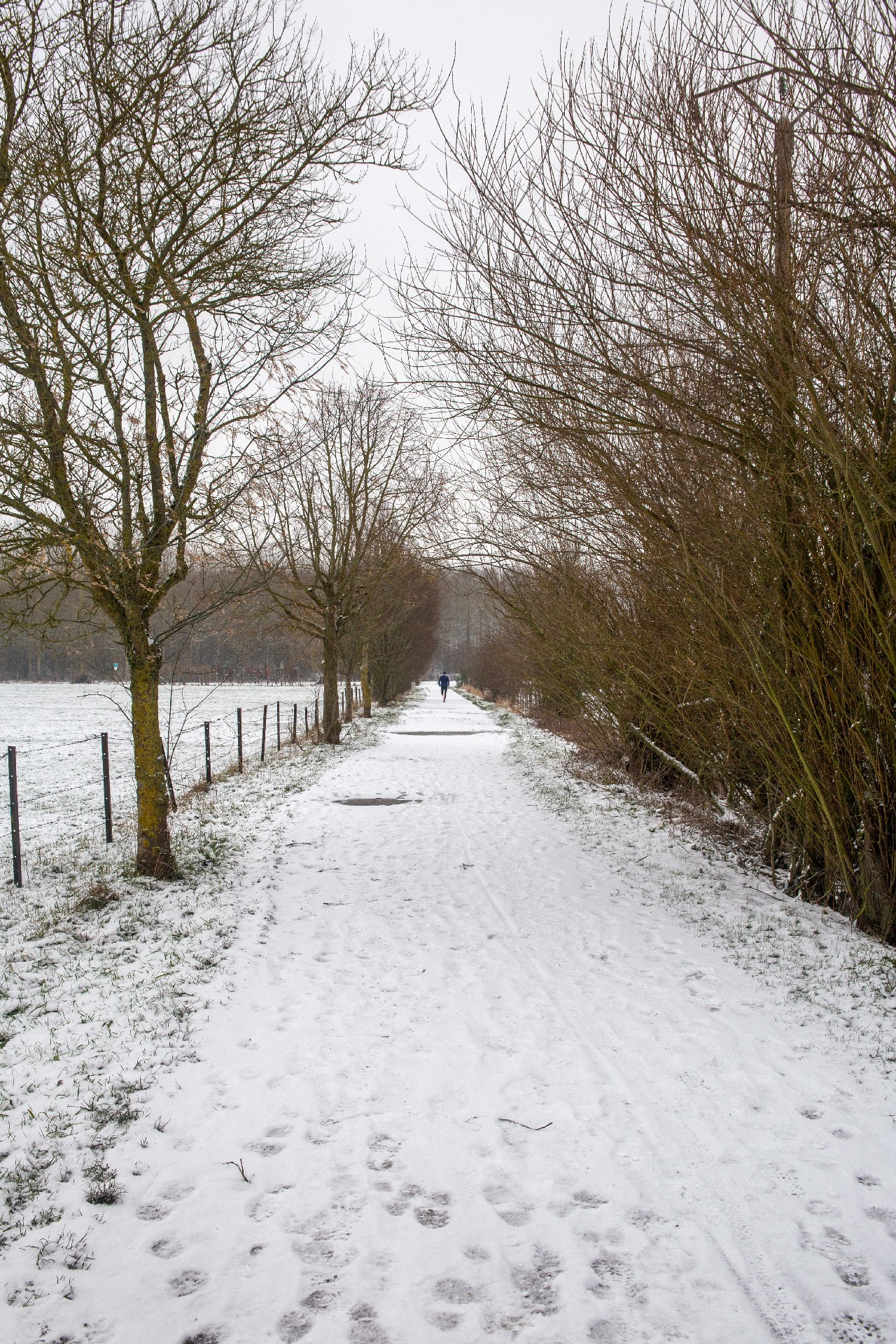 Baisieux sous la neige 