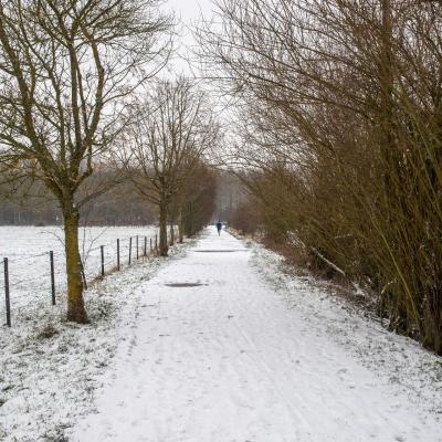 Baisieux sous la neige 