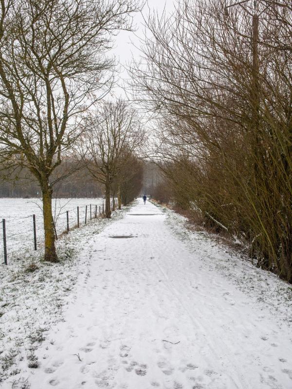 Baisieux sous la neige 