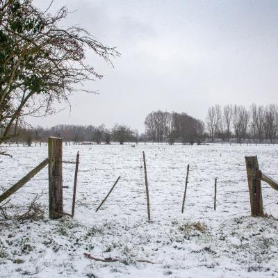 Baisieux sous la neige 