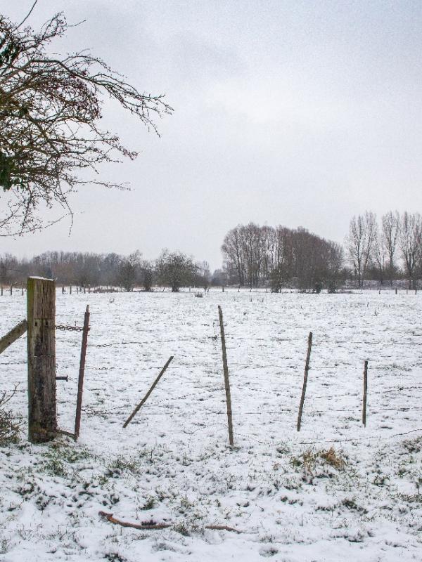 Baisieux sous la neige 