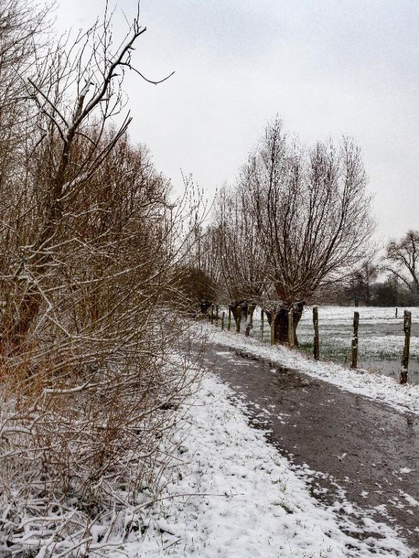 Baisieux sous la neige 