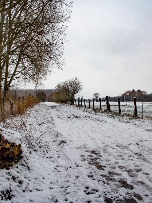 Baisieux sous la neige 