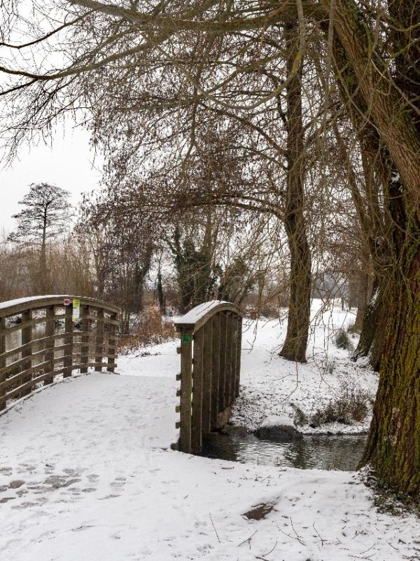 Parc des 6 Bonniers - Willems (59)