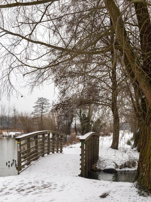 Parc des 6 Bonniers - Willems (59)