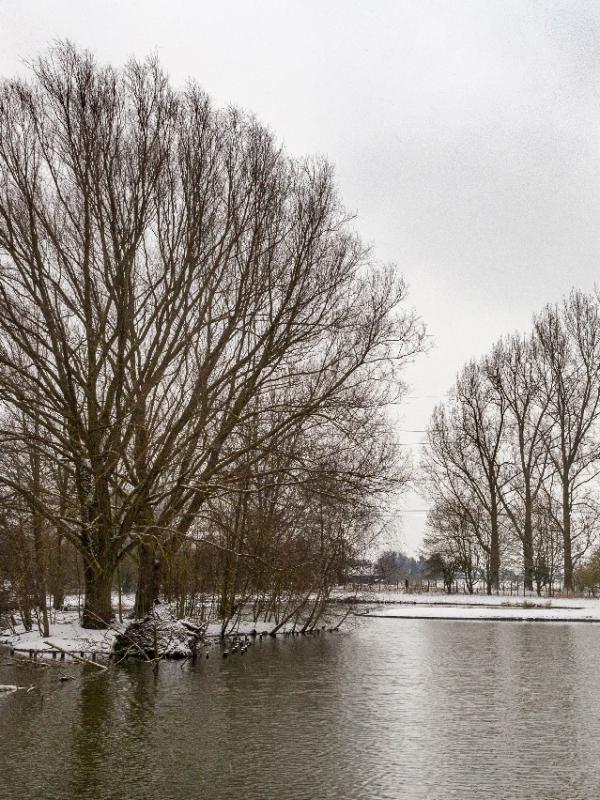 Parc des 6 Bonniers - Willems (59)