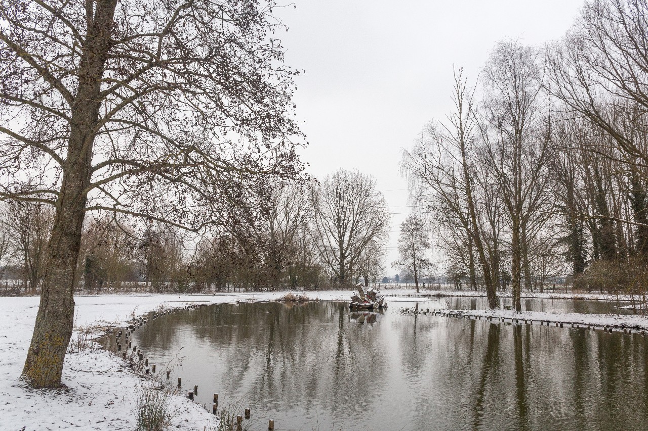 Parc des 6 Bonniers - Willems (59)