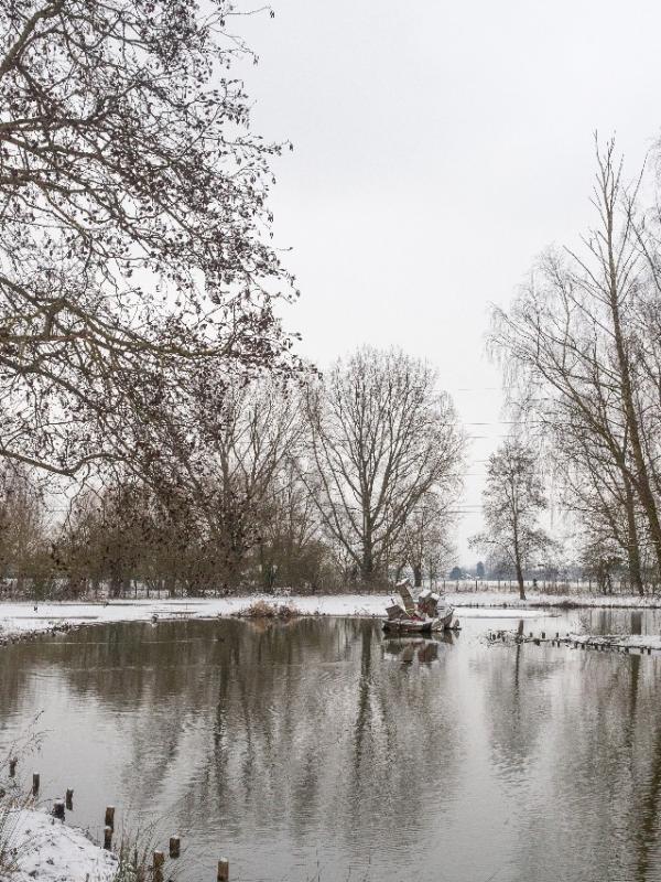 Parc des 6 Bonniers - Willems (59)