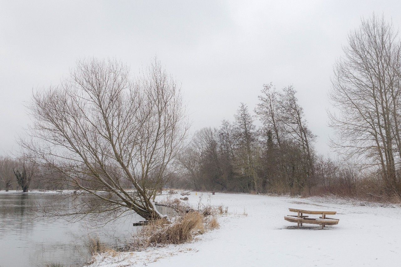 Parc des 6 Bonniers - Willems (59)