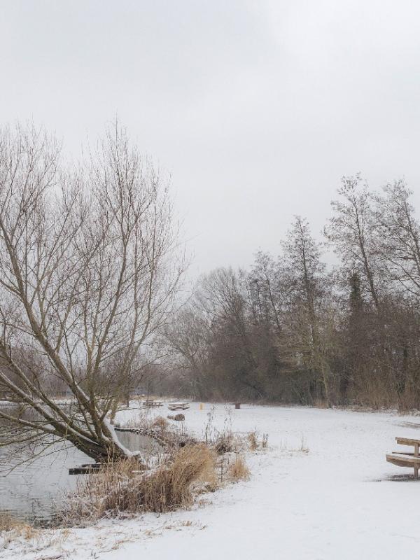 Parc des 6 Bonniers - Willems (59)