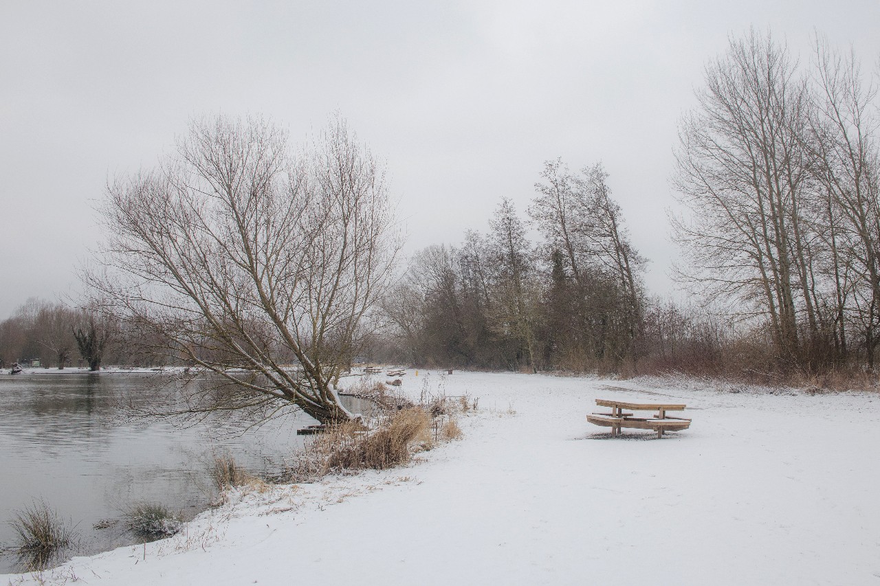 Parc des 6 Bonniers - Willems (59)