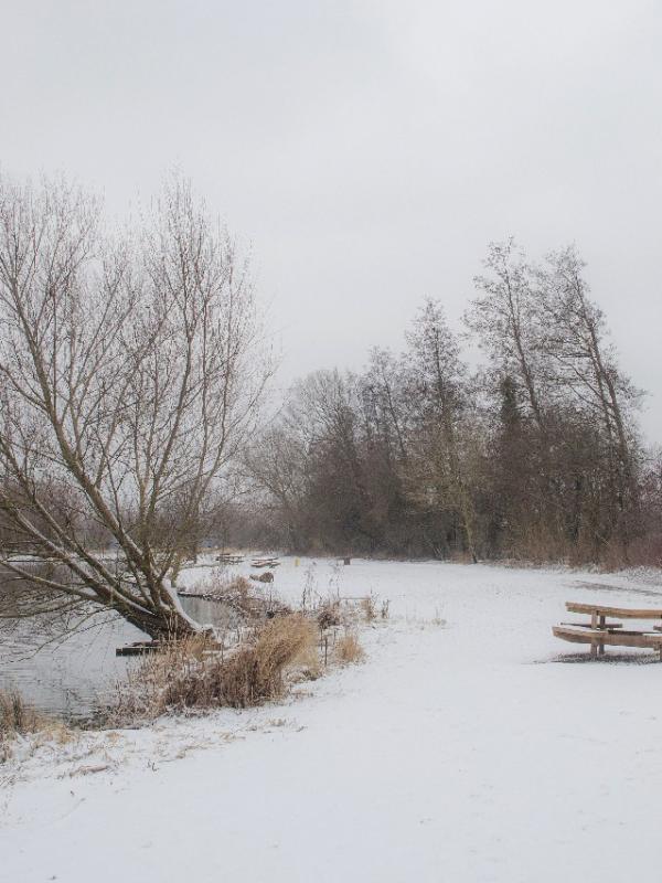 Parc des 6 Bonniers - Willems (59)