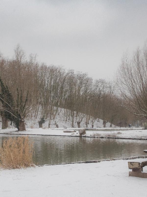 Parc des 6 Bonniers - Willems (59)