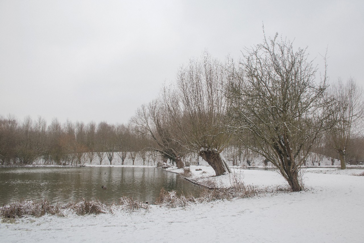 Parc des 6 Bonniers - Willems (59)