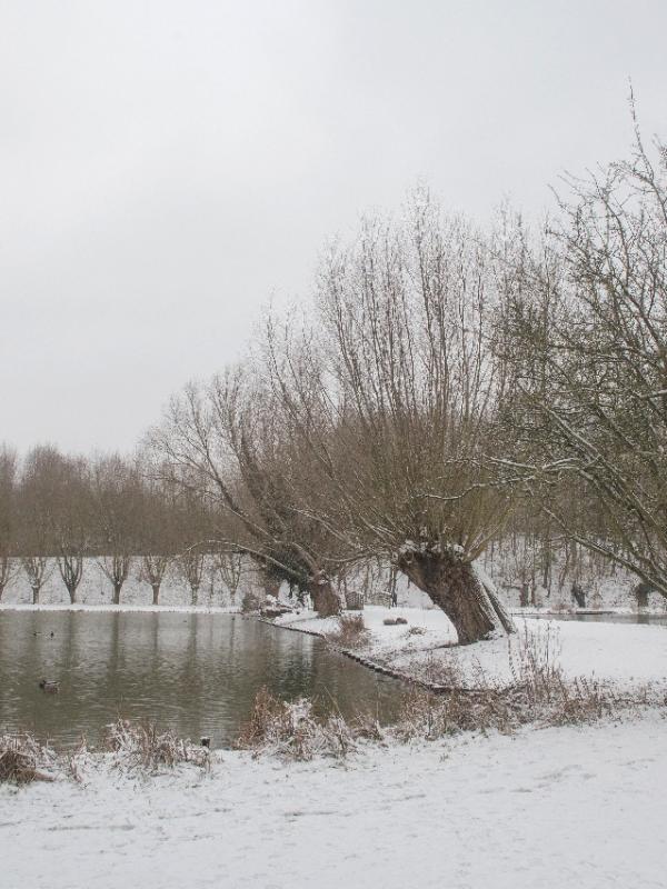 Parc des 6 Bonniers - Willems (59)