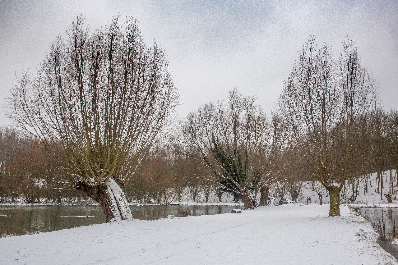 Parc des 6 Bonniers - Willems (59)