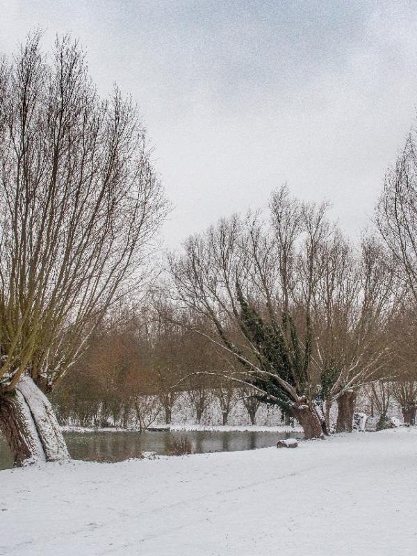 Parc des 6 Bonniers - Willems (59)