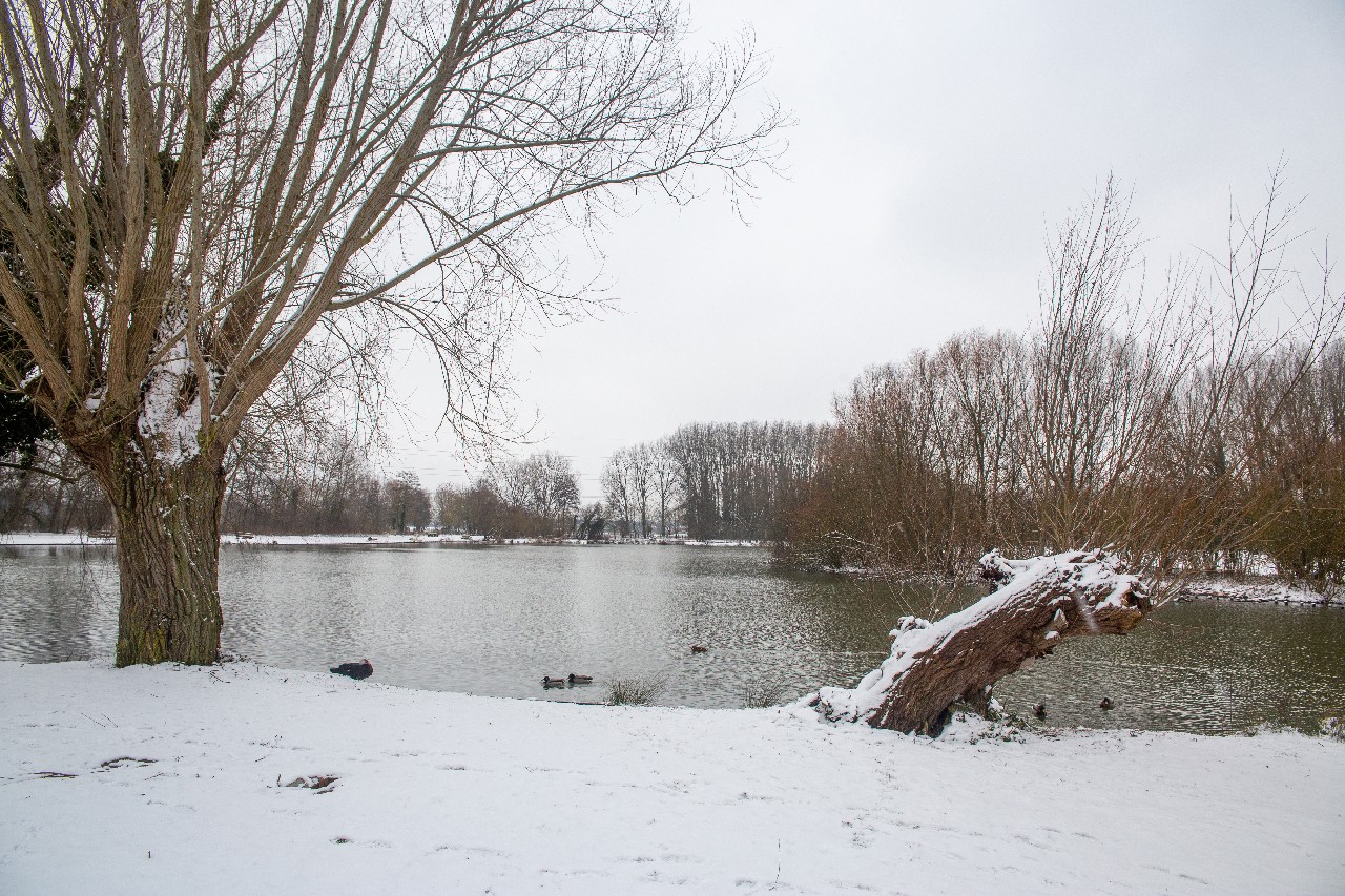 Baisieux sous la neige 